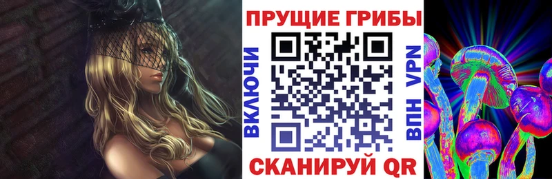 это наркотические препараты  где продают   Новый Уренгой  Галлюциногенные грибы MAGIC MUSHROOMS 